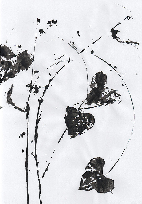 Ботанический принт (фитопринт, zen art print) - отпечаток растения на бумаге в свободной манере, отсылает к каллиграфии, к рисованию в состоянии дзен.