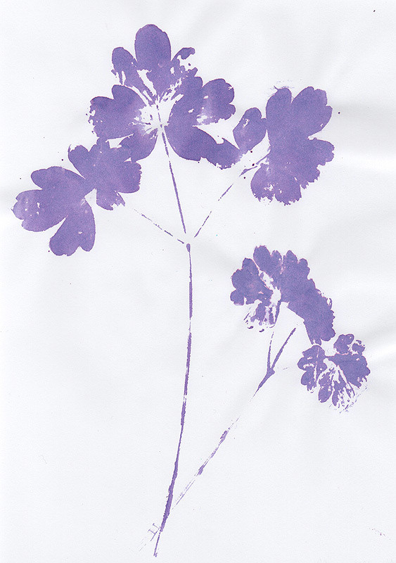 Ботанический принт (фитопринт, zen art print) - отпечаток растения на бумаге в свободной манере, отсылает к каллиграфии, к рисованию в состоянии дзен.