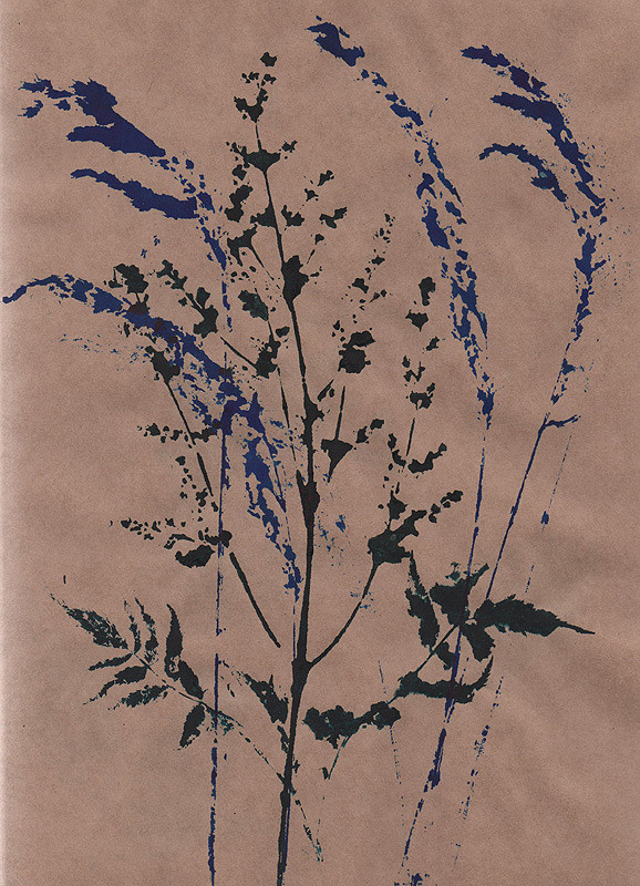 Ботанический принт (фитопринт, zen art print) - отпечаток растения на бумаге в свободной манере, отсылает к каллиграфии, к рисованию в состоянии дзен.