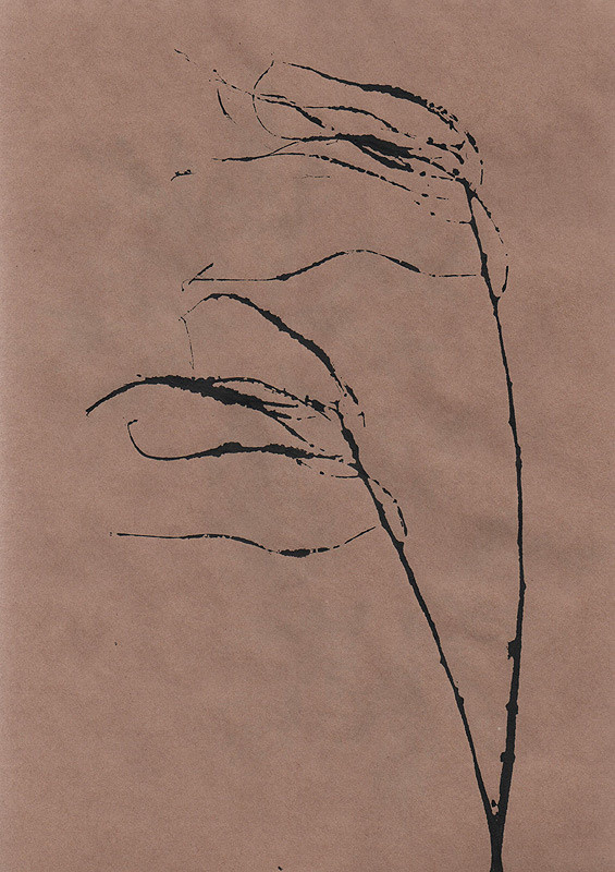 Ботанический принт (фитопринт, zen art print) - отпечаток растения на бумаге в свободной манере, отсылает к каллиграфии, к рисованию в состоянии дзен.