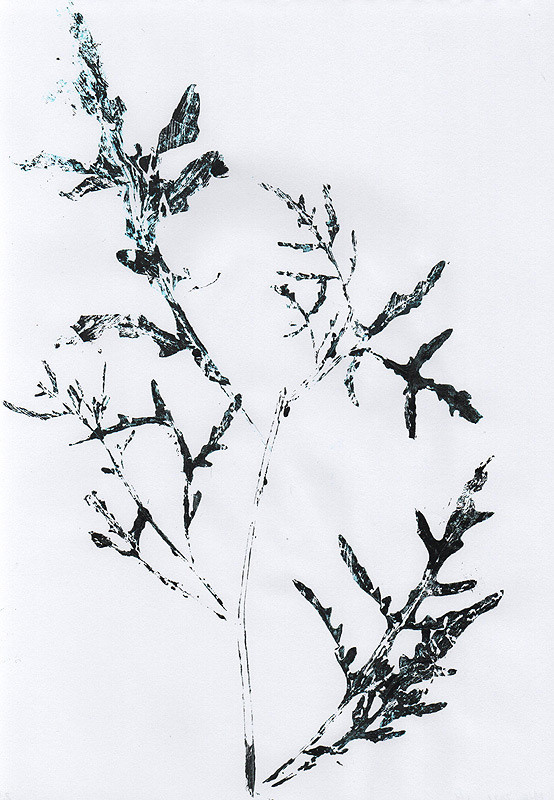 Ботанический принт руккола (фитопринт, zen art print) - отпечаток растения на бумаге в свободной манере, отсылает к каллиграфии, к рисованию в состоянии дзен.