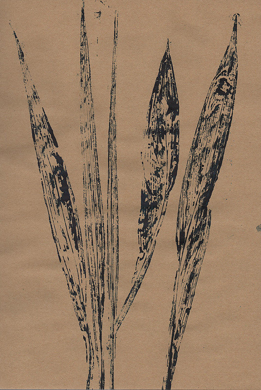 Ботанический принт (фитопринт, zen art print) - отпечаток растения на бумаге в свободной манере, отсылает к каллиграфии, к рисованию в состоянии дзен.