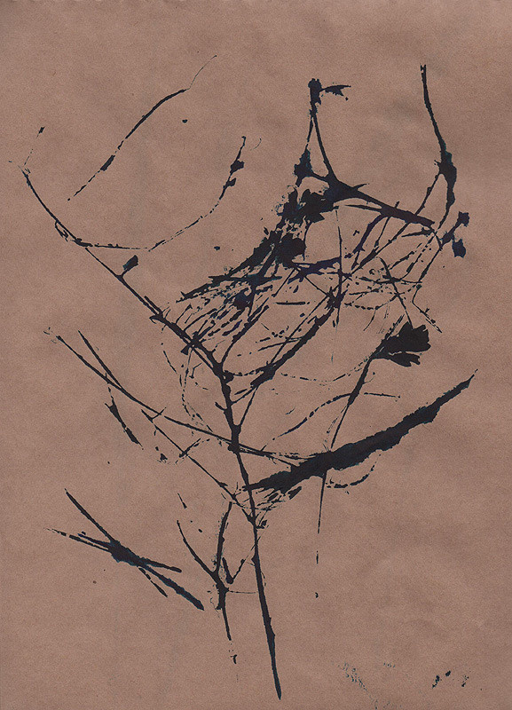 Ботанический принт (фитопринт, zen art print) - отпечаток растения на бумаге в свободной манере, отсылает к каллиграфии, к рисованию в состоянии дзен.