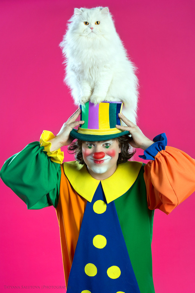 Владимир Куклачев Театр Кошек