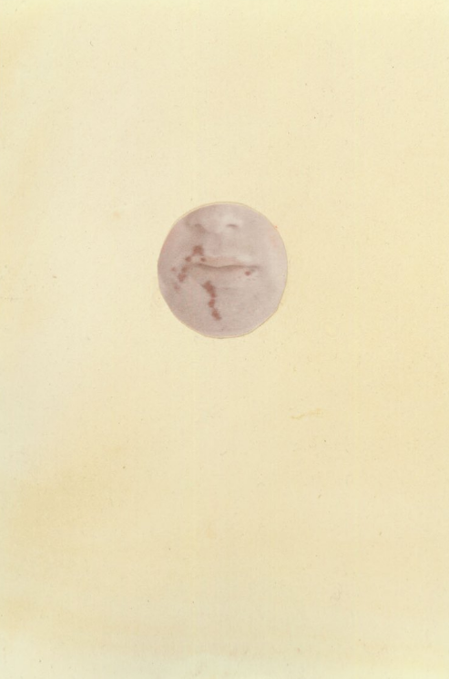 Фотограф Дэн Эстабрук (Dan Estabrook). Private image