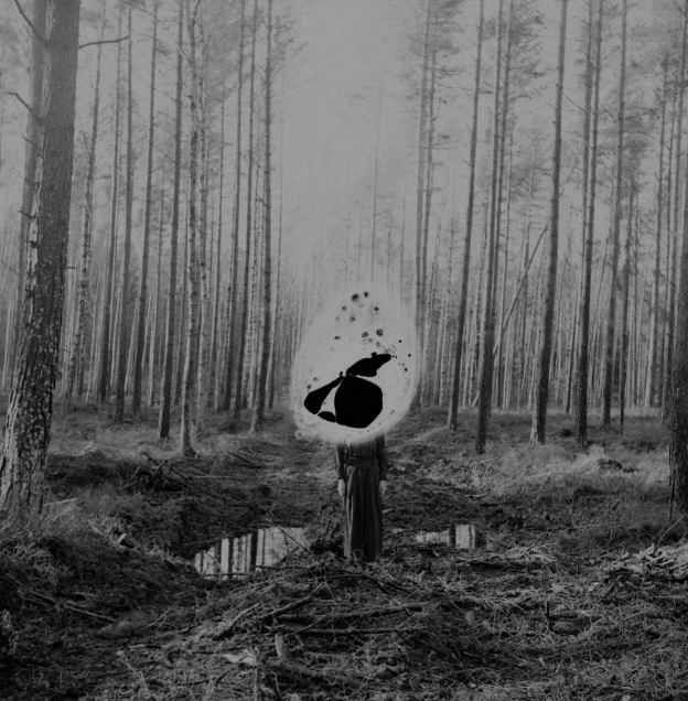 Вдохновение недели — фотограф Nathalie Ericson. Private image