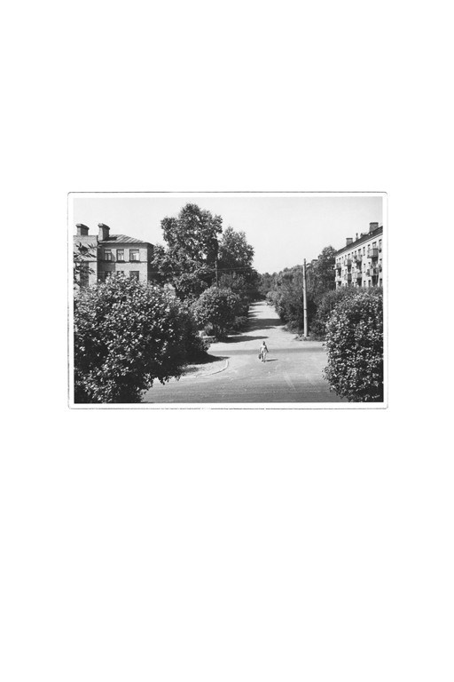 The city of white birches. Vita Stroganova