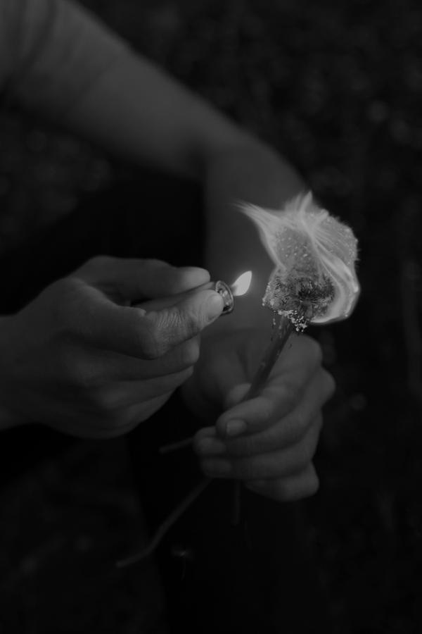 Проект Розы Лакавалла (Rosa Lacavalla) «Sana Sana». Private image