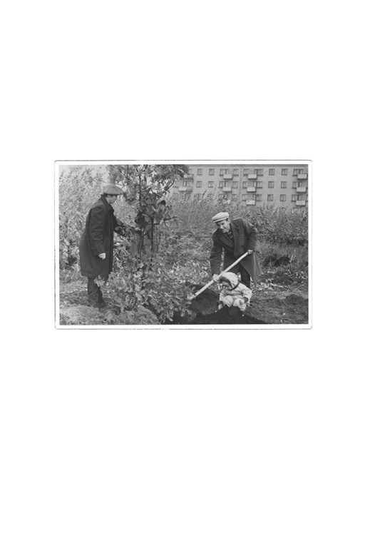 The city of white birches. Vita Stroganova