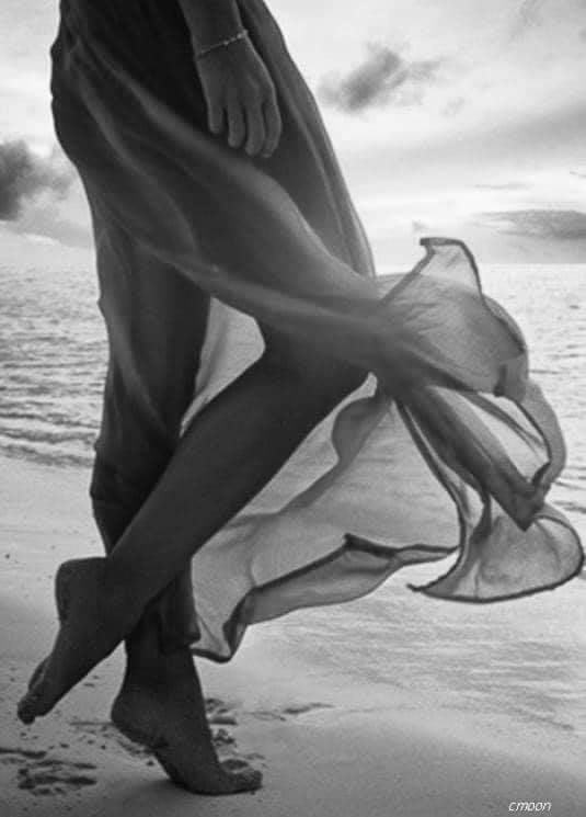 Страница со стихами. Поэт Александр Зайцев