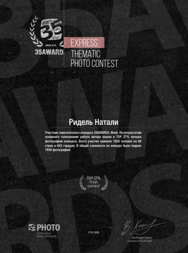 Мои достижения. Натали Ридель