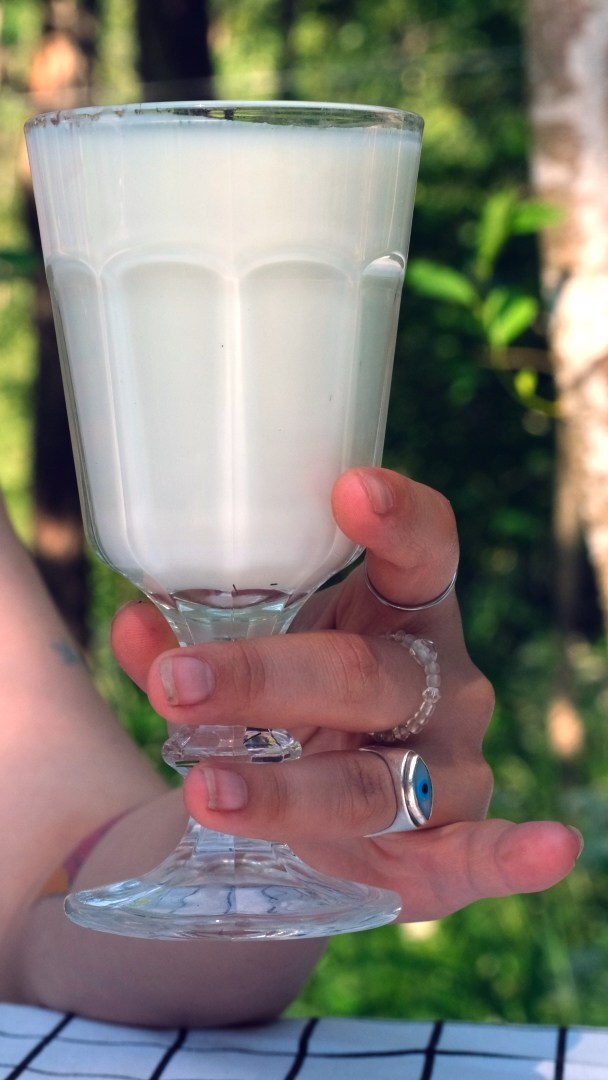 Witches of Green Hill / Ведьмы с Зеленого холма. Художник Катерина Копейкина / Artist Katerina Kopeikina