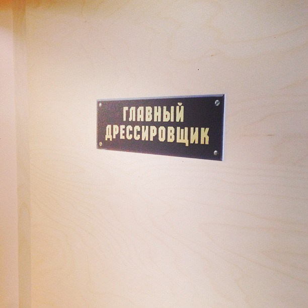 Bashnin instagramm. Заставка
