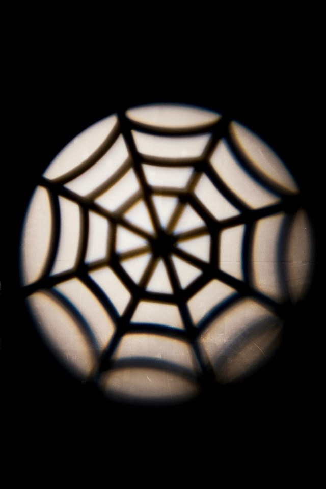 Фотостудия «FREE TIME». Фотограф в России, Семейный фотограф, репортажный фотограф, детский фотограф, портретный фотограф, контент фотограф, универсальный фотограф