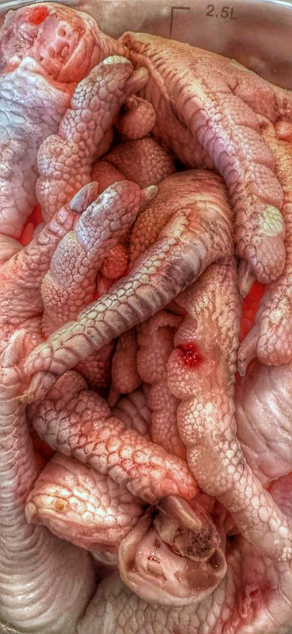 2024. Тащилин Сергей. Фотографии. Жизнь. Хобби