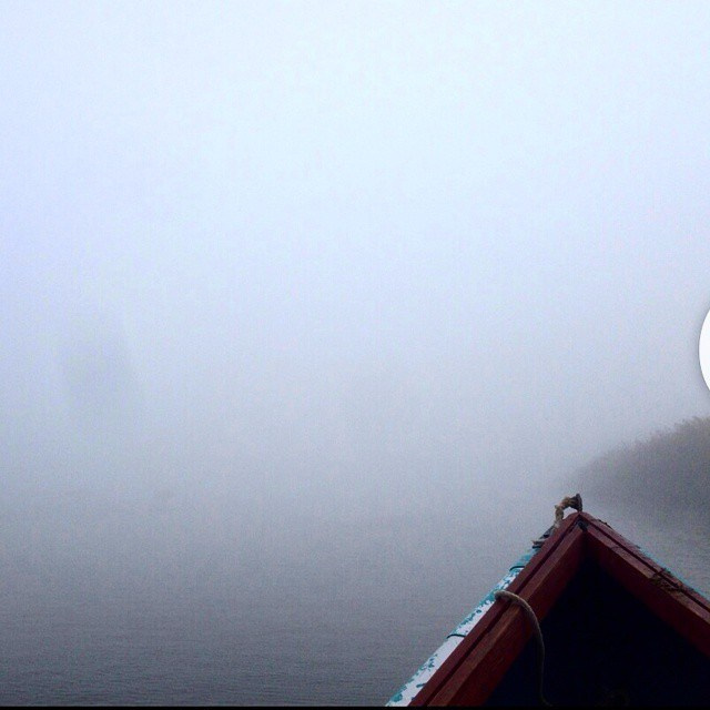 Bashnin instagramm. Заставка