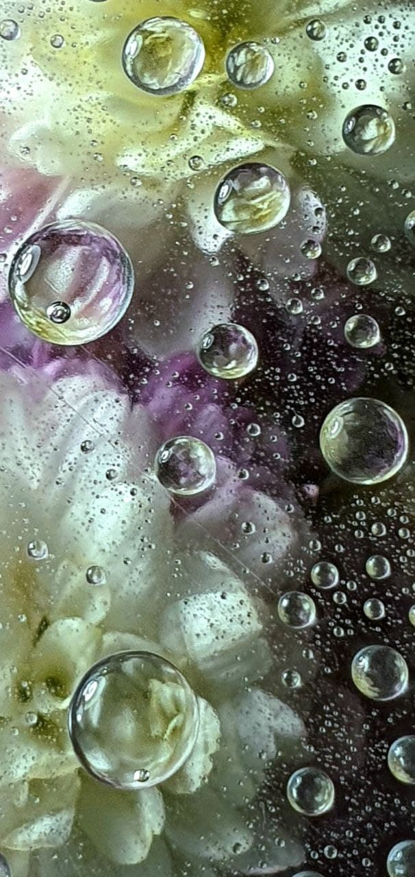 Распродажа курса: «Мобильная фотография». Алла Шевченко — продюсер — наставник