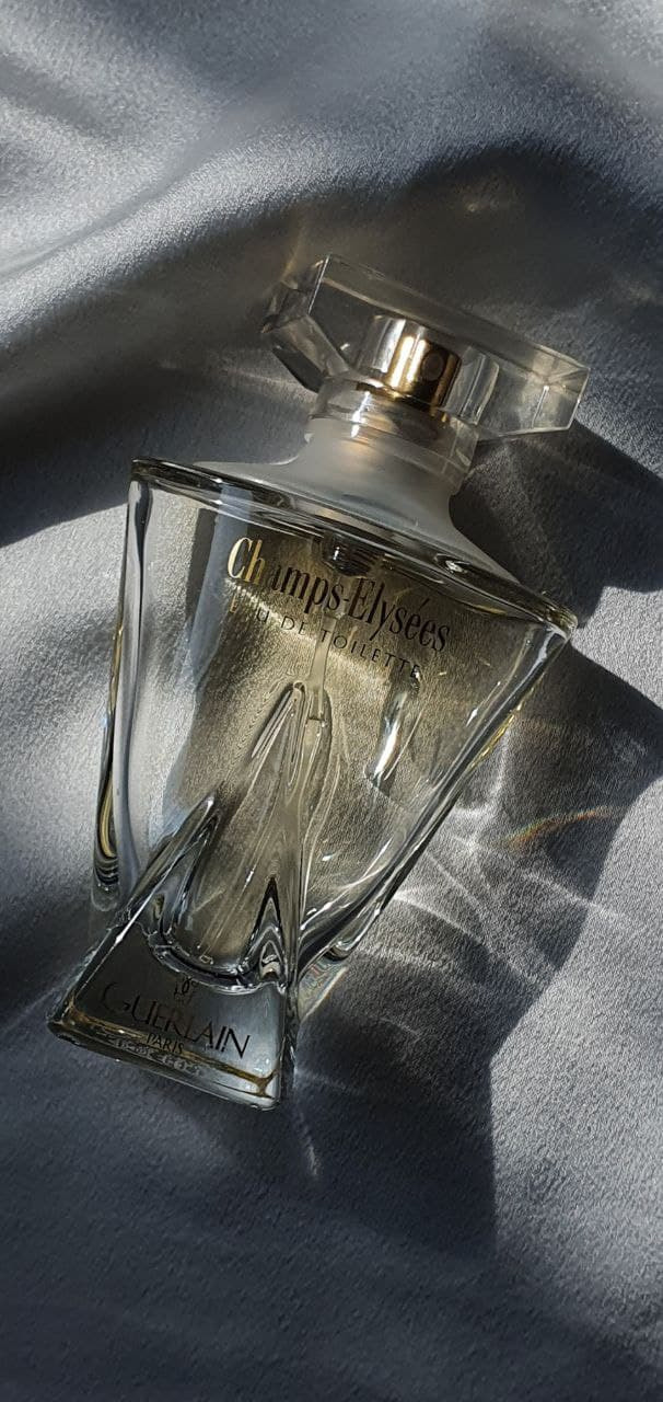 Распродажа курса: «Мобильная фотография». Алла Шевченко — продюсер — наставник