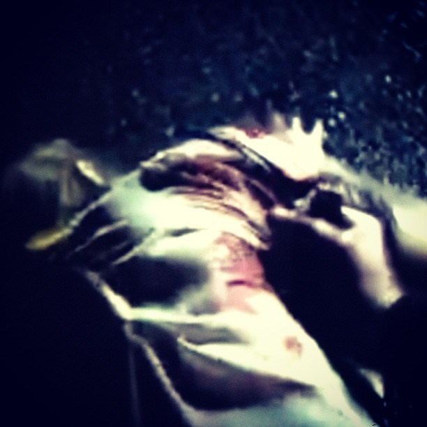 Bashnin instagramm. Заставка