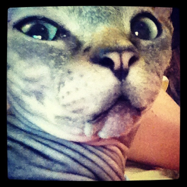 Мы с детьми сборник 1000 фото первая часть. Заставка