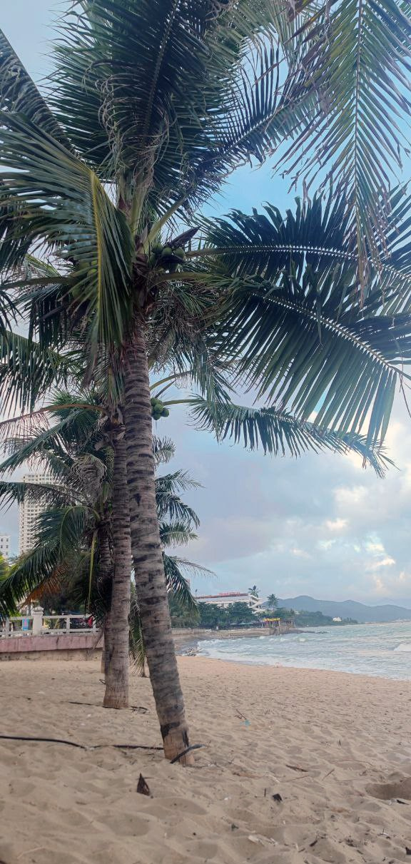 Vietnam (Nha Trang). Фотограф Алексей Федорищев