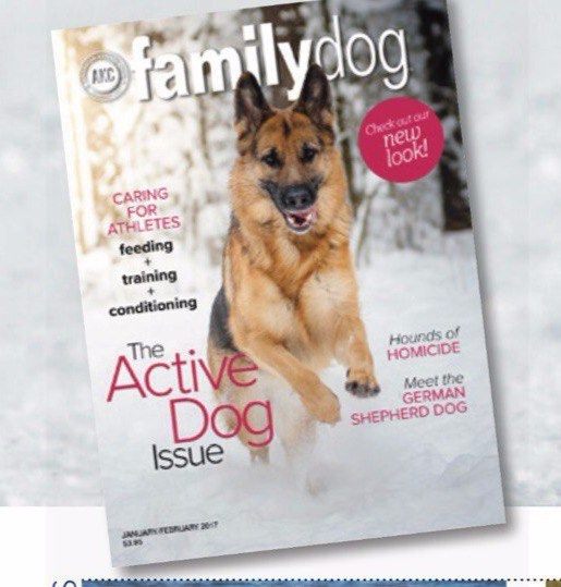 О фотографе TitAnya. Фотограф собак, фотограф-анималист Аня Титова (Titanya). Москва