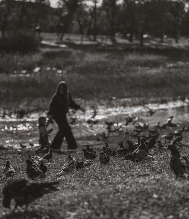 Услуги. Alina Volynecz