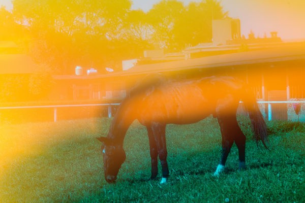 Фотохронотоп детства. Kateserbina