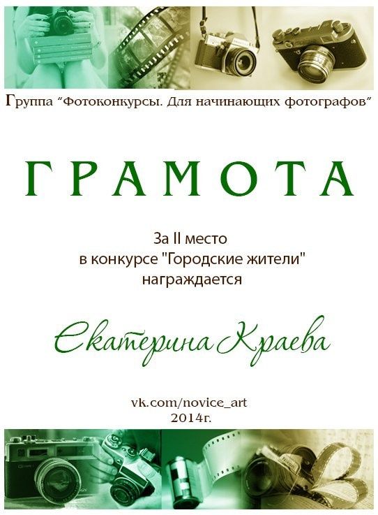 Обо мне. Репортажный фотограф Казань