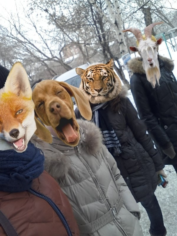 Январь. Семейный, Свадебный фотограф СПБ Питер— Романова Екатерина