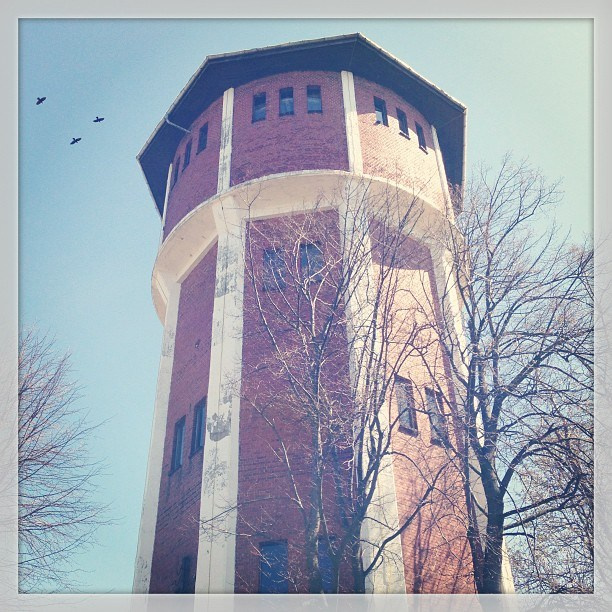 Мы с детьми сборник 1000 фото первая часть. Заставка