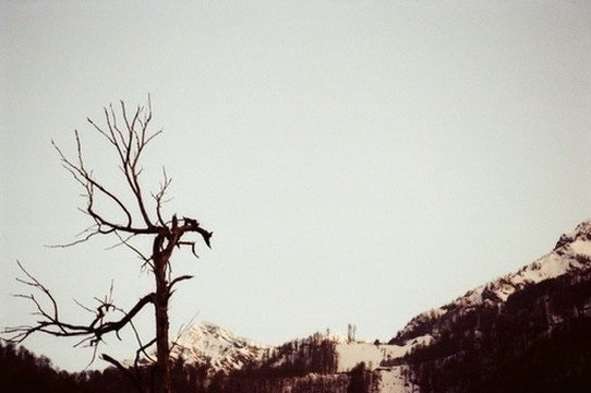 BUY ARTWORKS. Alyona Rubanova — Visual artist