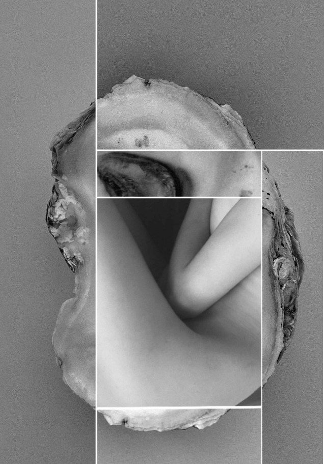 диптих из части женского тела и ракушки 