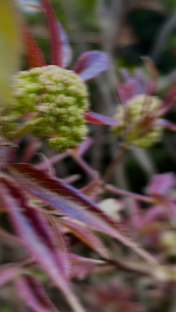 Фотографии. Visual artist