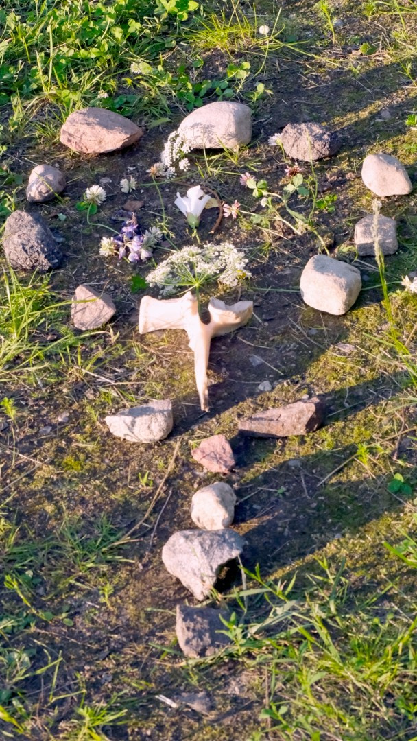 Witches of Green Hill / Ведьмы с Зеленого холма. Художник Катерина Копейкина / Artist Katerina Kopeikina