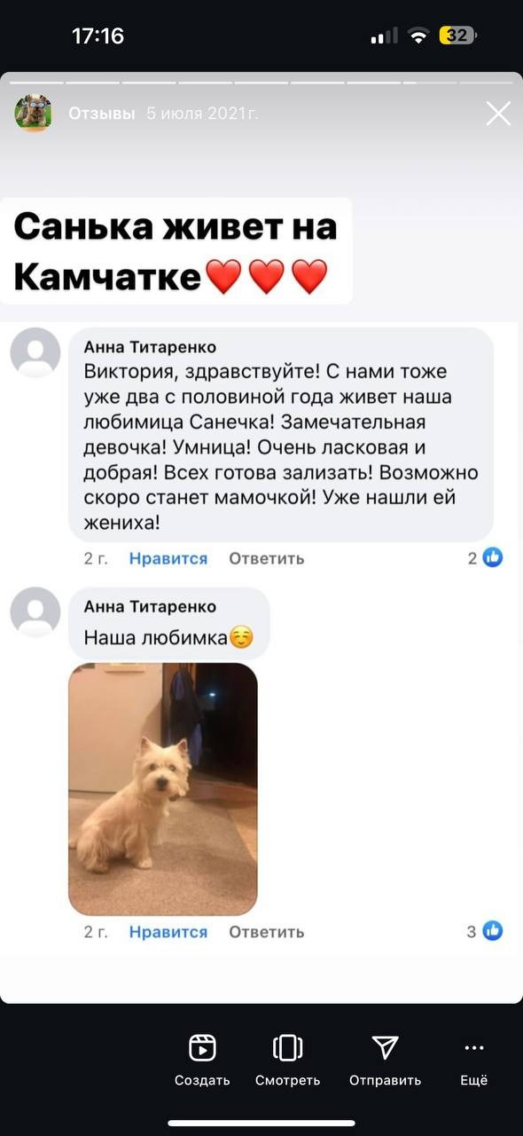 Фритсвит. Семейный фотограф Ефремова Виктория