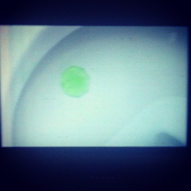 Bashnin instagramm. Заставка