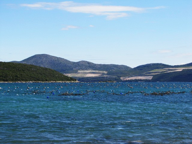 Хорватия: Стон, Трстено, Корчула — радости и гадости природы. Дарья Письменюк / Darya Leitstern — фотограф, музыкант, журналист, путешественник