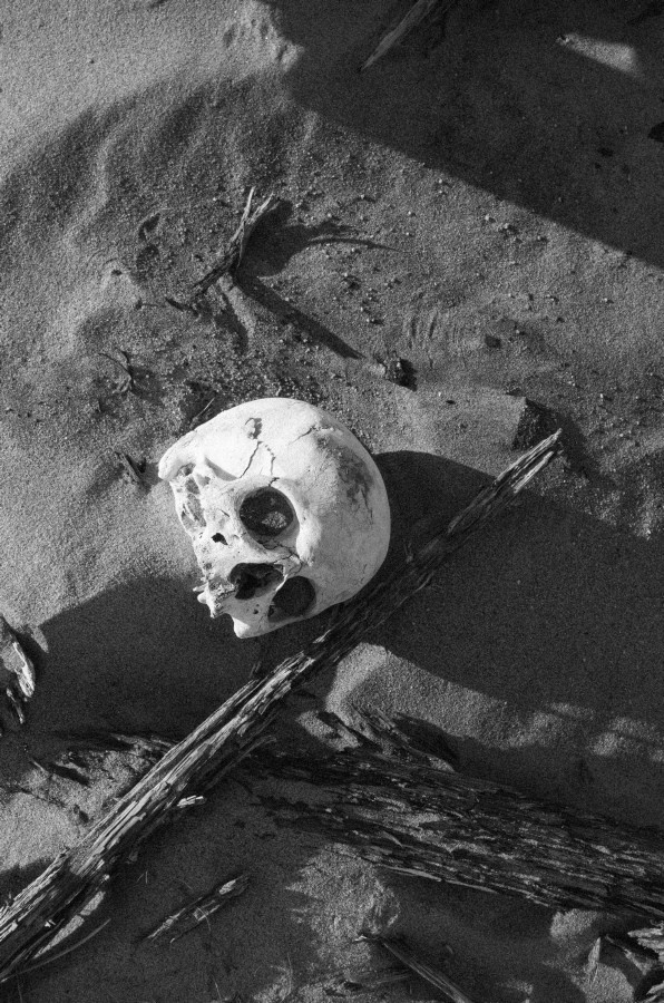 Summer Shore. Vitaly Severov