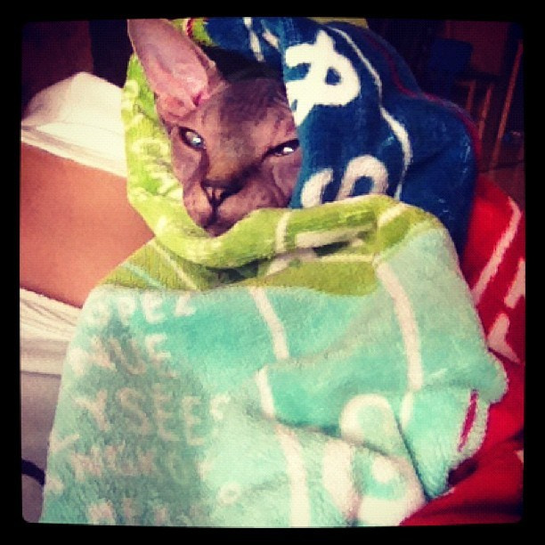 Мы с детьми сборник 1000 фото первая часть. Заставка