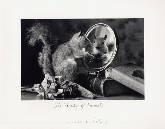 концептуальная фотография Дуэйна Майклса с метафорическим сюжетом