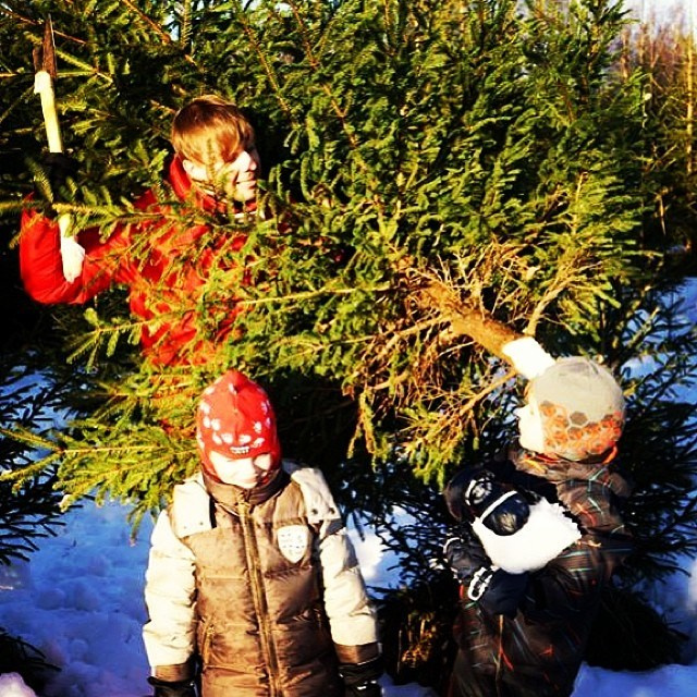 Bashnin instagramm. Заставка