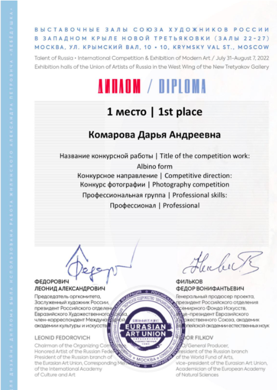 Дарья Комарова. Фотограф в России, Семейный фотограф, репортажный фотограф, детский фотограф, портретный фотограф, контент фотограф, универсальный фотограф