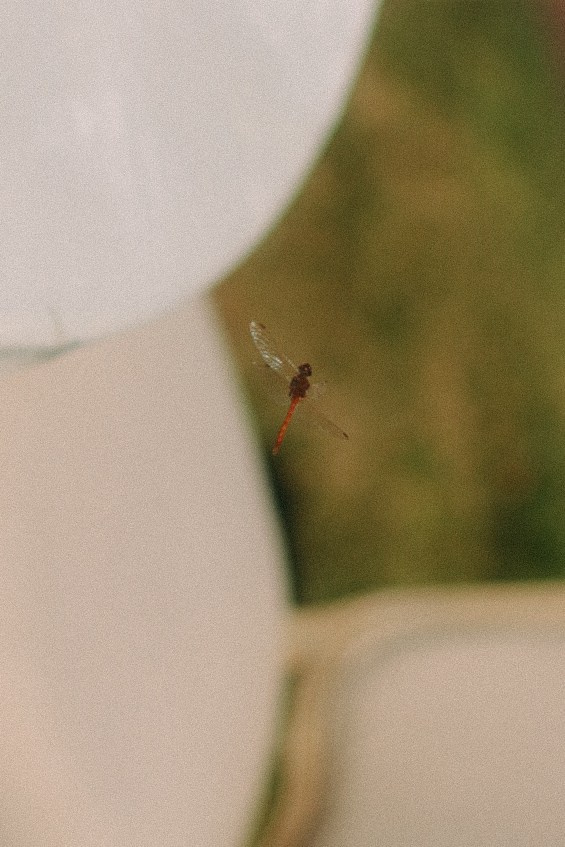 Владимир и Наталья. Фотограф Нижний Новгород