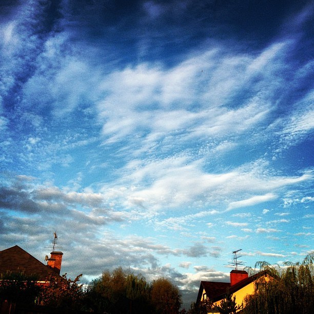 Bashnin instagramm. Заставка