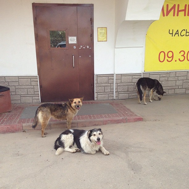 Мы с детьми сборник 1000 фото первая часть. Заставка