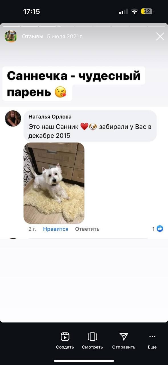 Фритсвит. Семейный фотограф Ефремова Виктория