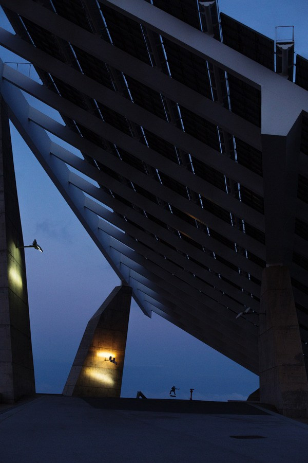 Random photo roulette. Bivol images