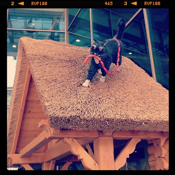 Мы с детьми сборник 1000 фото первая часть. Заставка