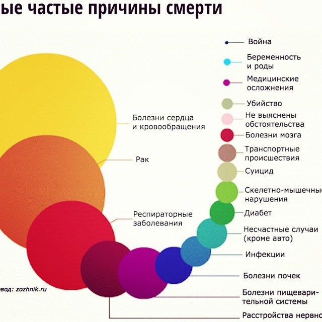 Bashnin instagramm. Заставка